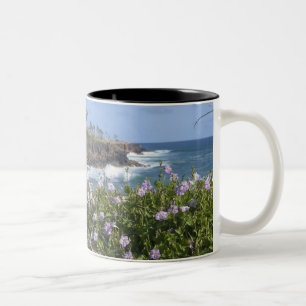 USA, Hawaii, Kauai, in der Nähe von Kapaa, Nordwes Zweifarbige Tasse