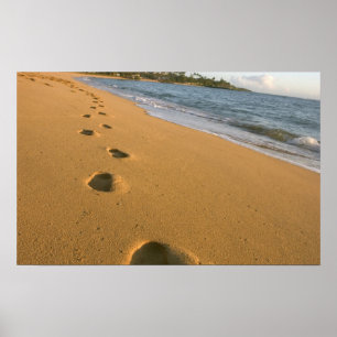 USA, Hawaii, Kauai, Kapa'a, direkt am Strand. Poster
