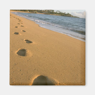 USA, Hawaii, Kauai, Kapa'a, Strand. Magnet