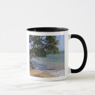 USA, Hawaii, Kauai, Strand landschaftlich. RF) Tasse