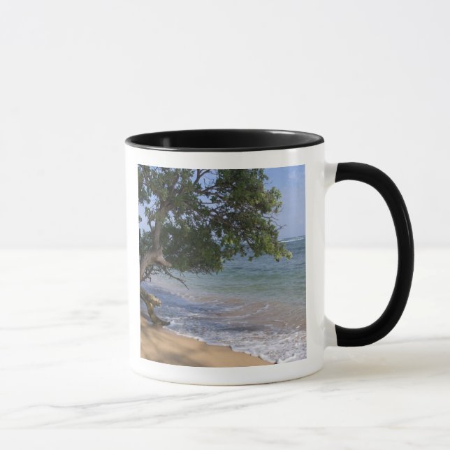 USA, Hawaii, Kauai, Strand landschaftlich. RF) Tasse (Rechts)