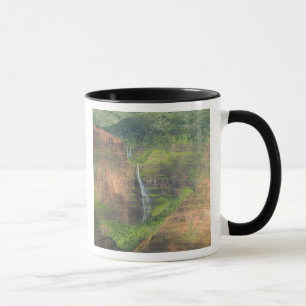 USA, Hawaii, Kauai, Waimea, Waimea Canyon Tasse