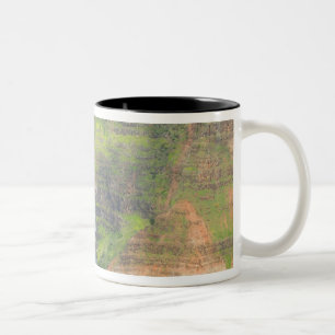 USA, Hawaii, Kauai, Waimea, Waimea-Canyon Zweifarbige Tasse
