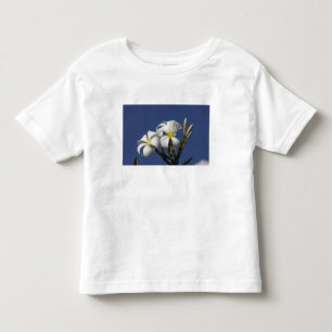 USA, Hawaii, Kauai, weiße Plumerie. Kleinkind T-shirt
