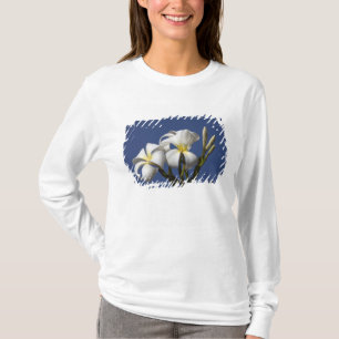 USA, Hawaii, Kauai, weiße Plumerie. T-Shirt