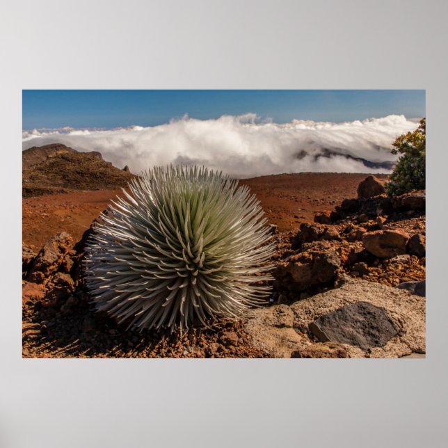 USA, Hawaii, Maui, Haleakala National Park Poster (Vorne)