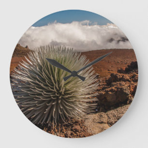 USA, Hawaii, Maui, Haleakala-Nationalpark Große Wanduhr