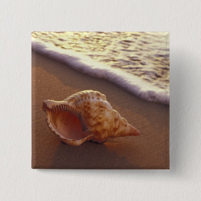 USA, Hawaii, Maui, Kihei, Abend light on Button (Vorderseite)
