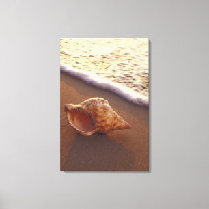 USA, Hawaii, Maui, Kihei, Abend light on Leinwanddruck