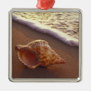 USA, Hawaii, Maui, Kihei, Abend light on Ornament Aus Metall