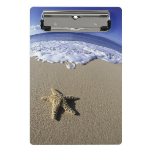 USA, Hawaii, Maui, Makena Beach, Seestern Mini Klemmbrett
