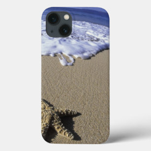 USA, Hawaii, Maui, Makena Beach, Seestern und Case-Mate iPhone Hülle