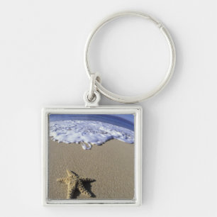 USA, Hawaii, Maui, Makena Beach, Seestern und Schlüsselanhänger