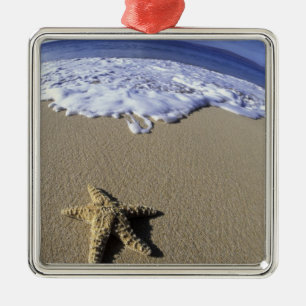 USA, Hawaii, Maui, Makena Beach, Seestern und Silbernes Ornament