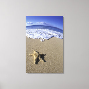 USA, Hawaii, Maui, Makena Beach, Starfish und Leinwanddruck