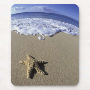 USA, Hawaii, Maui, Makena Beach, Starfish und Mousepad