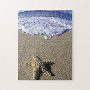 USA, Hawaii, Maui, Makena Beach, Starfish und Puzzle