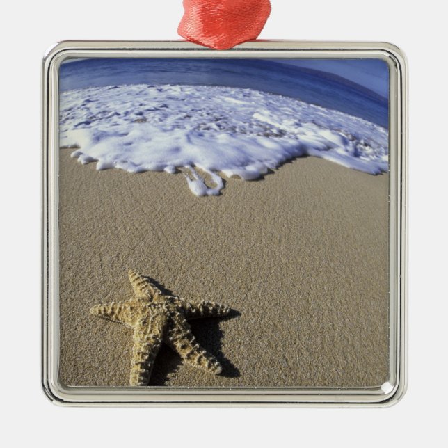 USA, Hawaii, Maui, Makena Beach, Starfish und Silbernes Ornament (Vorne)