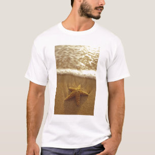 USA, Hawaii, Maui, Maui, Kihei, Seestern und T-Shirt
