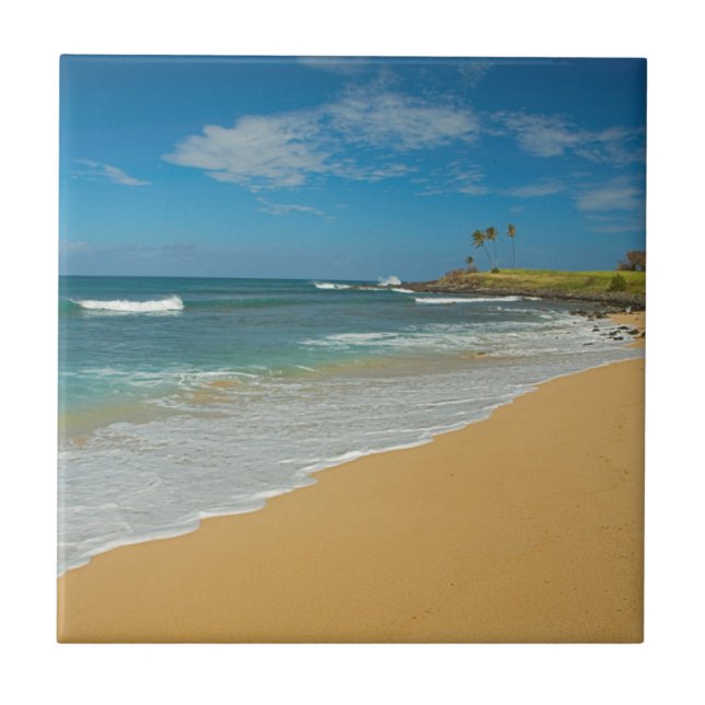 USA, Hawaii, Molokai Island, Three Mile Beach Fliese (Vorderseite)
