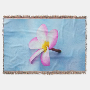USA, Hawaii, Oahu, blühende Plumeria-Blumen 2 Decke