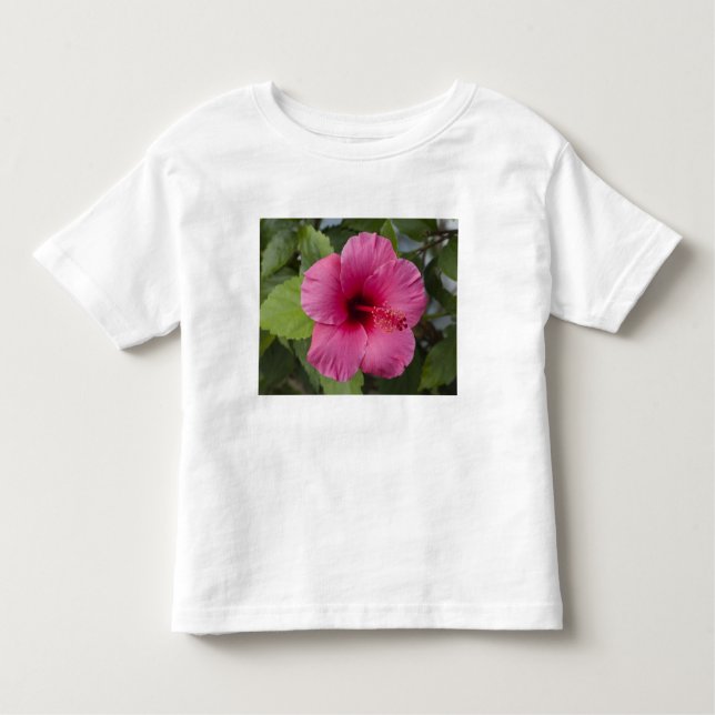 USA, Hawaii, Oahu. Der Hibiskus ist der 2 Kleinkind T-shirt (Vorderseite)