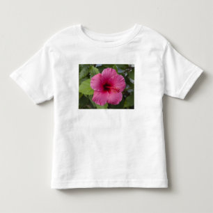 USA, Hawaii, Oahu. Der Hibiskus ist die 2 Kleinkind T-shirt