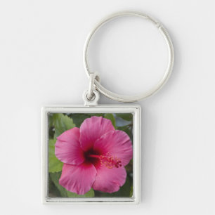 USA, Hawaii, Oahu. Der Hibiskus ist die 2 Schlüsselanhänger