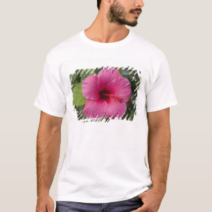USA, Hawaii, Oahu. Der Hibiskus ist die 2 T-Shirt