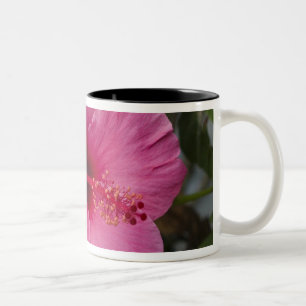 USA, Hawaii, Oahu. Der Hibiskus ist die 2 Zweifarbige Tasse