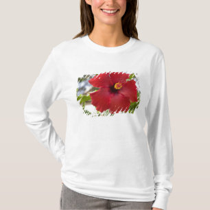 USA, Hawaii, Oahu. Der Hibiskus ist die T-Shirt