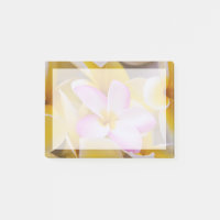 USA, Hawaii, Oahu, Plumeria Blume in Blüte 1