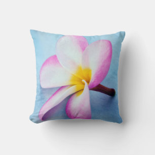 USA, Hawaii, Oahu, Plumeria Blume in Blüte 2 Kissen