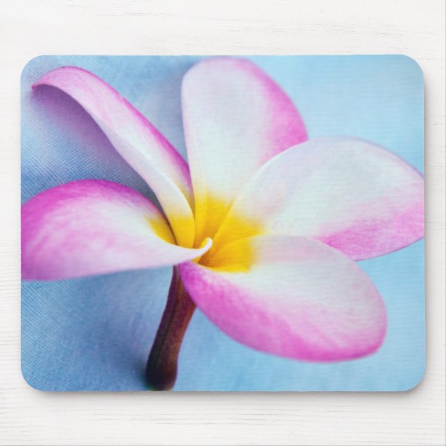 USA, Hawaii, Oahu, Plumeria Blume in Blüte 2 Mousepad (Vorne)
