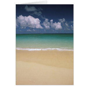 USA, Hawaii. Strand Szene