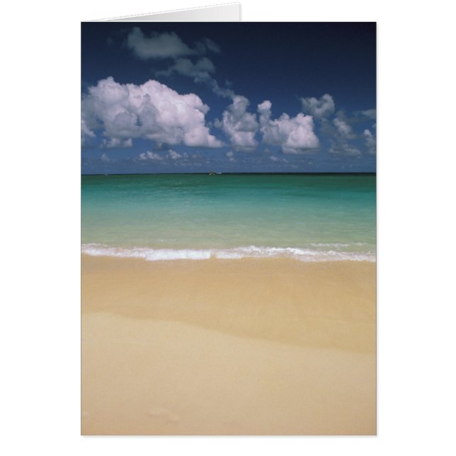 USA, Hawaii. Strand-Szene (Vorne)