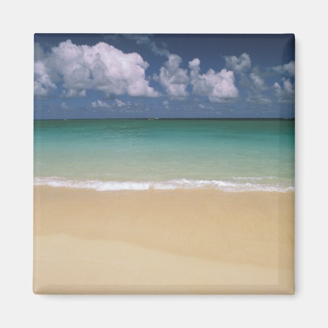 USA, Hawaii. Strand-Szene Magnet (Vorne)