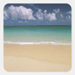USA, Hawaii. Strand Szene Quadratischer Aufkleber