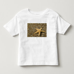 USA, HI, Kauai, Glass Beach mit Seestern Kleinkind T-shirt