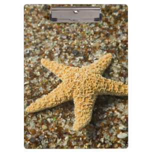 USA, HI, Kauai, Glass Beach mit Seestern Klemmbrett
