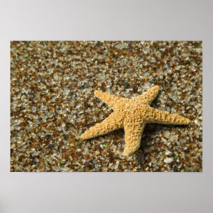 USA, HI, Kauai, Glass Beach mit Seestern Poster