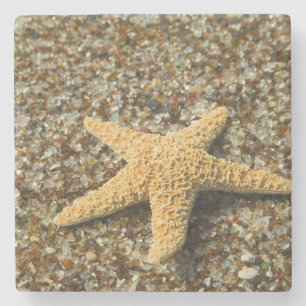 USA, HI, Kauai, Glass Beach mit Seestern Steinuntersetzer