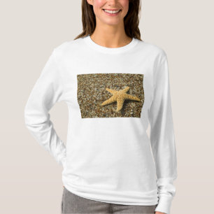 USA, HI, Kauai, Glass Beach mit Seestern T-Shirt