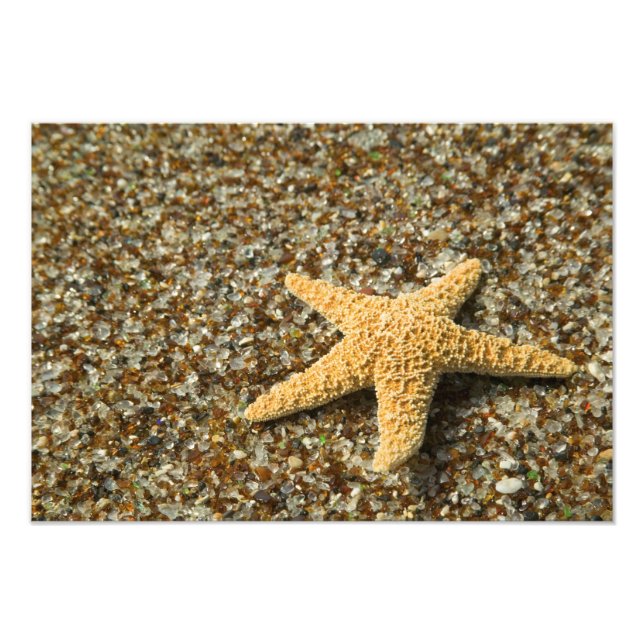 USA, HI, Kauai, Glass Beach mit Star-Fisch Fotodruck (Vorne)
