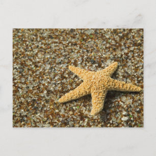 USA, HI, Kauai, Glass Beach mit Star-Fisch Postkarte