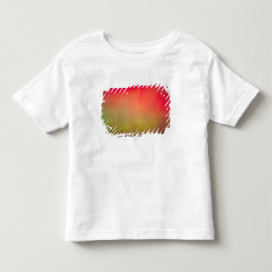 USA, Idaho. Aurora borealis, Nordlicht bei 2 Kleinkind T-shirt