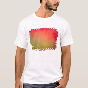 USA, Idaho. Aurora borealis, Nordlicht um 2 T-Shirt