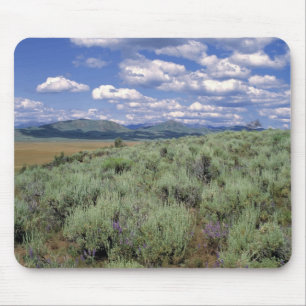 USA, Idaho, Camas Co. Beifuß und Lupine Mousepad