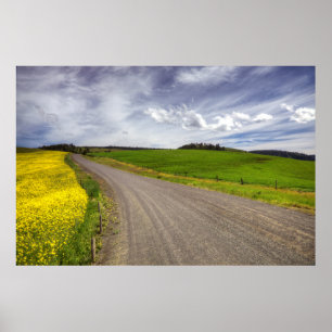 USA, Idaho, Landkreis Idaho, Canola Field Poster