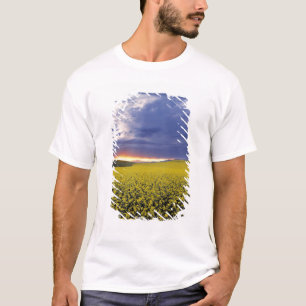 USA, Idaho, Swan Valley. Ein feuriger Sonnenunterg T-Shirt